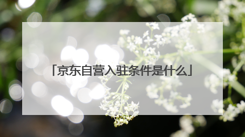 京东自营入驻条件是什么