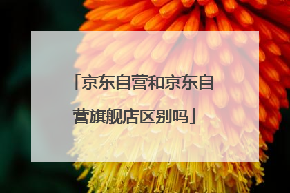 京东自营和京东自营旗舰店区别吗