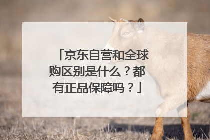 京东自营和全球购区别是什么?都有正品保障吗?
