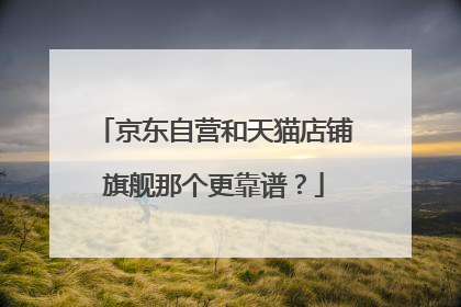 京东自营和天猫店铺旗舰那个更靠谱?