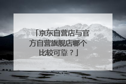 京东自营店与官方自营旗舰店哪个比较可靠?