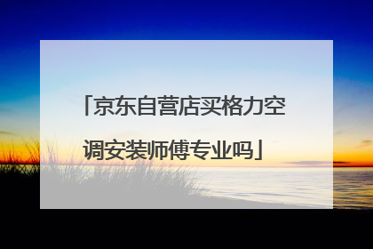 京东自营店买格力空调安装师傅专业吗