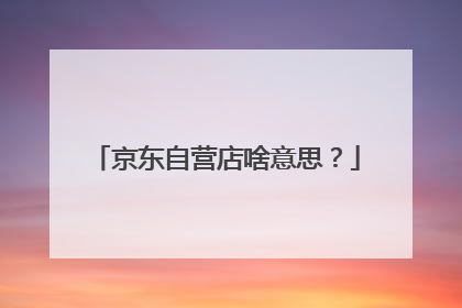 京东自营店啥意思?