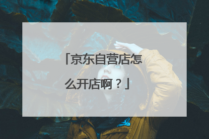 京东自营店怎么开店啊?