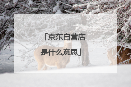 京东自营店是什么意思