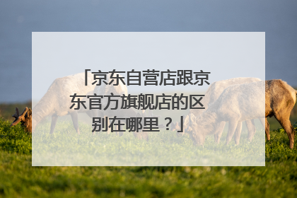 京东自营店跟京东官方旗舰店的区别在哪里?