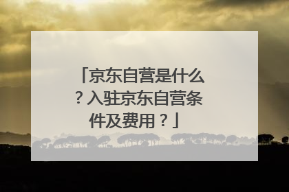 京东自营是什么?入驻京东自营条件及费用?