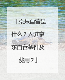 京东自营是什么?入驻京东自营条件及费用?