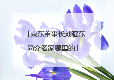 京东董事长刘强东简介老家哪里的