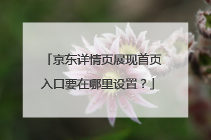 京东详情页展现首页入口要在哪里设置?