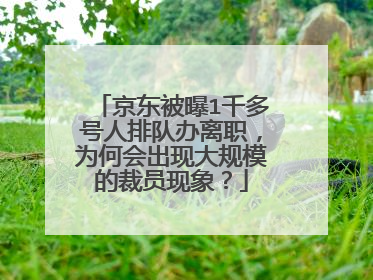 京东被曝1千多号人排队办离职，为何会出现大规模的裁员现象？