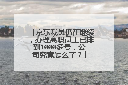 京东裁员仍在继续,办理离职员工已排到1000多号,公司究竟怎么了?