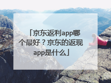 京东返利app哪个最好?京东的返现app是什么