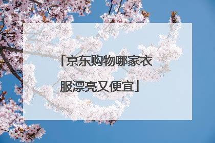 京东购物哪家衣服漂亮又便宜