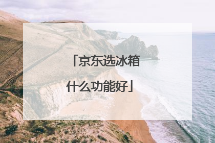京东选冰箱什么功能好