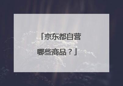 京东都自营哪些商品？