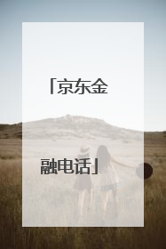 京东金融电话