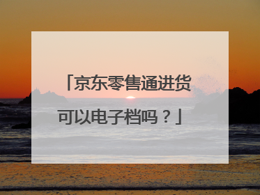 京东零售通进货可以电子档吗?