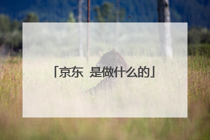 京东 是做什么的