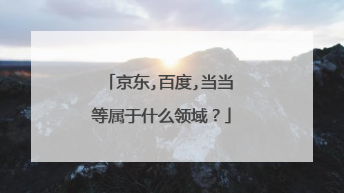 京东,百度,当当等属于什么领域?