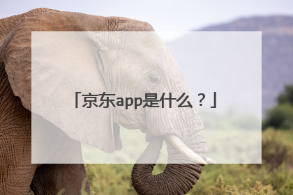 京东app是什么？
