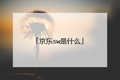 京东sw是什么
