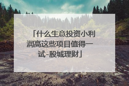什么生意投资小利润高这些项目值得一试-股城理财