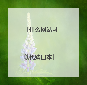 什么网站可以代购日本