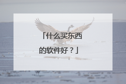 什么买东西的软件好?