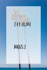什么叫网店
