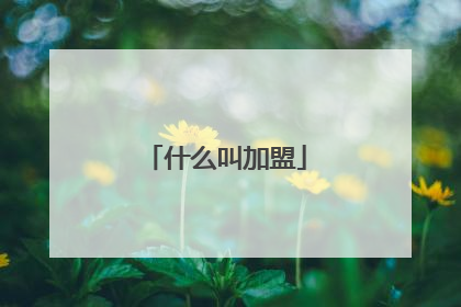 什么叫加盟