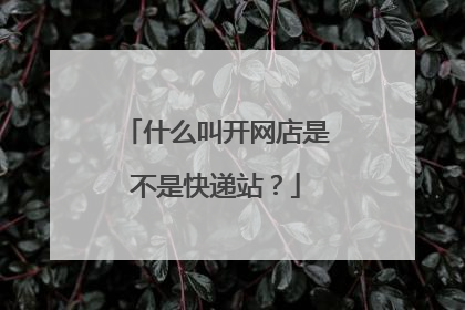 什么叫开网店是不是快递站?