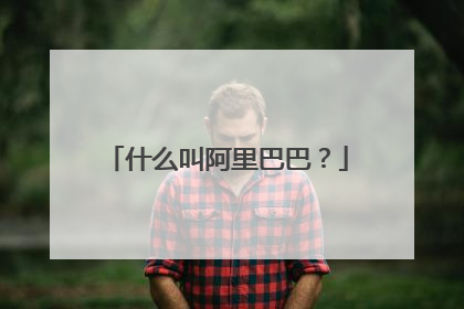 什么叫阿里巴巴？