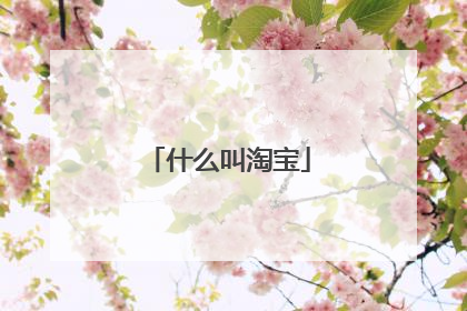 什么叫淘宝