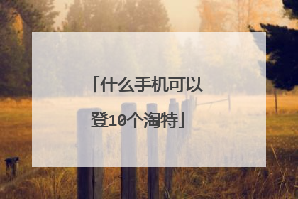 什么手机可以登10个淘特