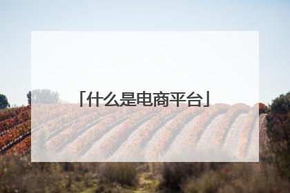 什么是电商平台