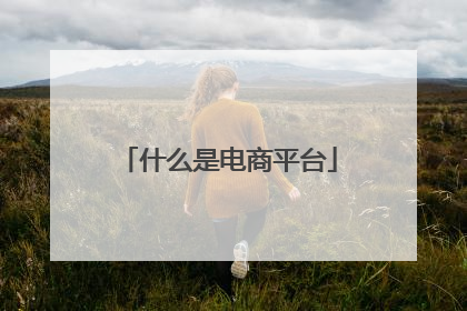 什么是电商平台