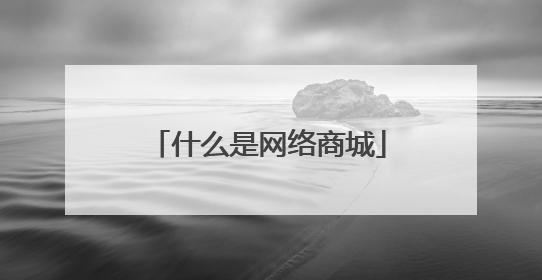 什么是网络商城