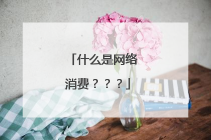 什么是网络消费???