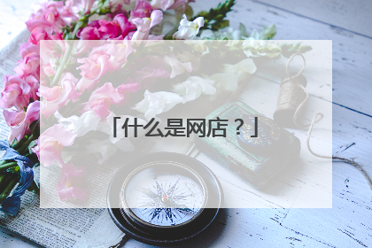 什么是网店?