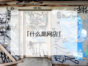 什么是网店