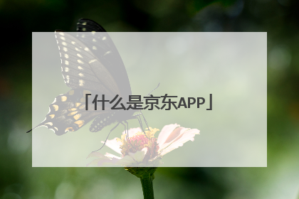 什么是京东APP