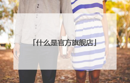 什么是官方旗舰店