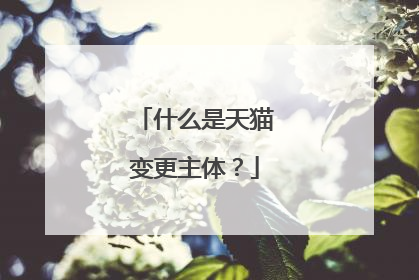 什么是天猫变更主体?