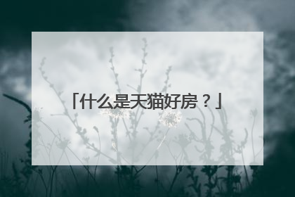 什么是天猫好房?