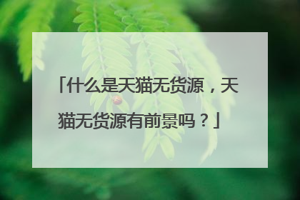 什么是天猫无货源,天猫无货源有前景吗?