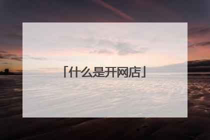 什么是开网店