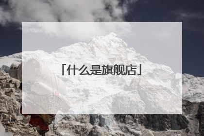 什么是旗舰店