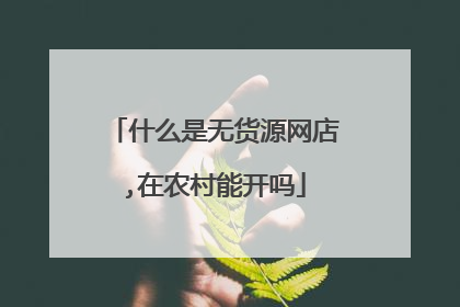 什么是无货源网店,在农村能开吗