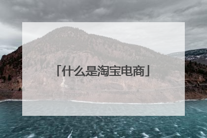 什么是淘宝电商